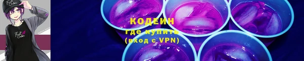 хмурый Верея